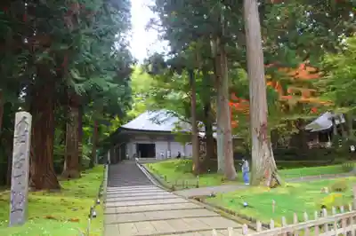 中尊寺金色堂(岩手県)