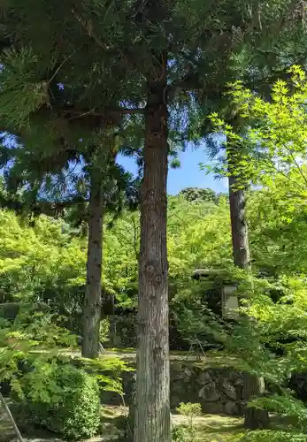 酬恩庵一休寺の自然