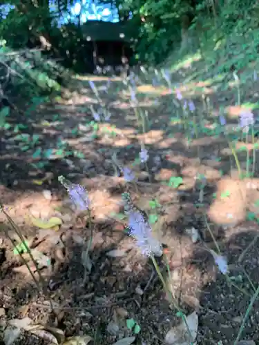 子安神社の自然