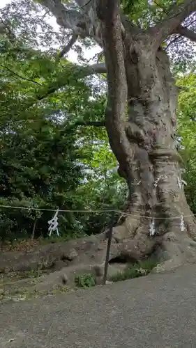 愛宕神社(福島県)