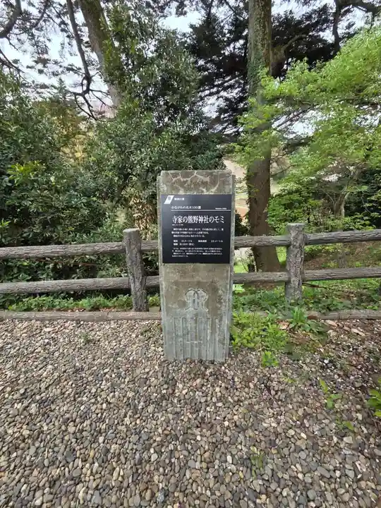 熊野神社(神奈川県)