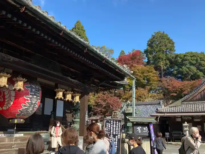 柳谷観音 楊谷寺(京都府)