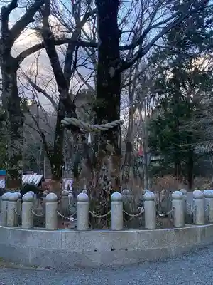 山中浅間神社(山梨県)