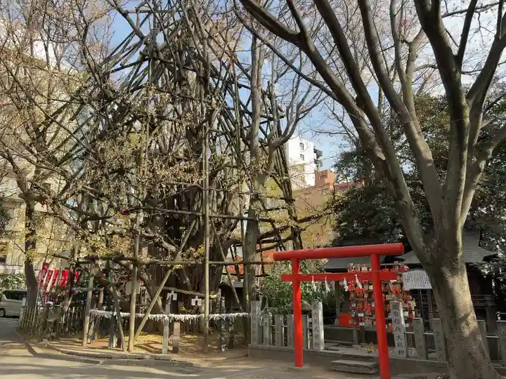 稲毛神社(神奈川県)
