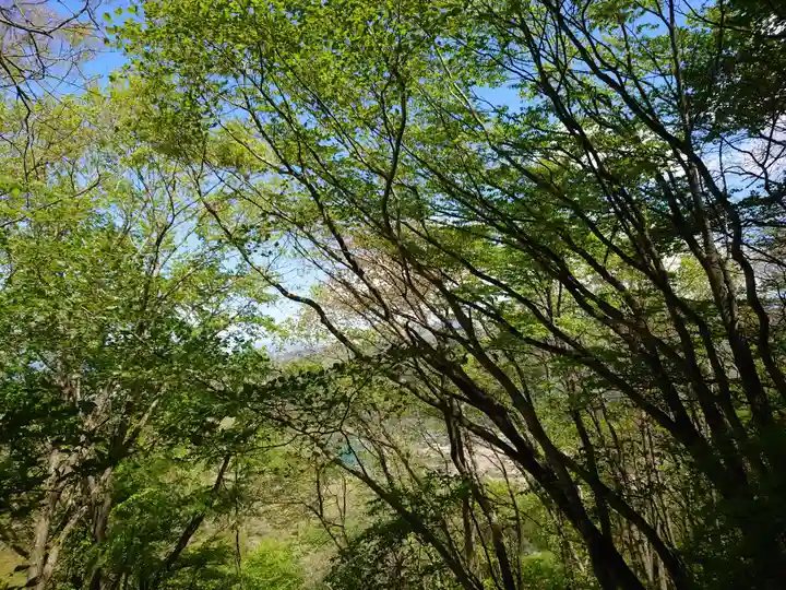 壽徳寺 じゅとくじの自然