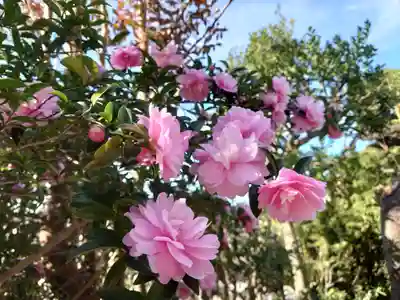 東林寺(神奈川県)