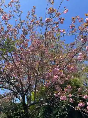 平岡八幡宮(京都府)