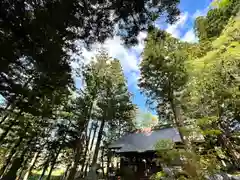 山家神社の自然