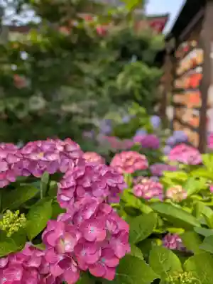成子天神社(東京都)