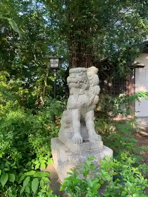 白幡神社の狛犬