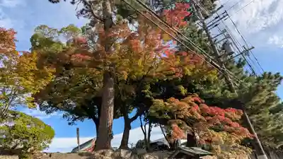 豊国神社(京都府)
