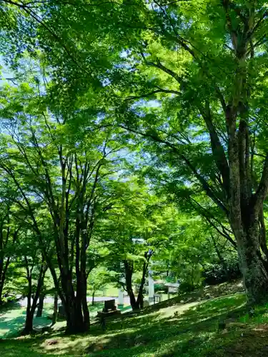 土津神社｜こどもと出世の神さまの自然