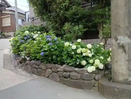 白山神社(東京都)