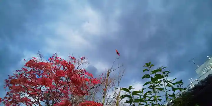 賀茂波爾神社(賀茂御祖神社境外摂社)(京都府)