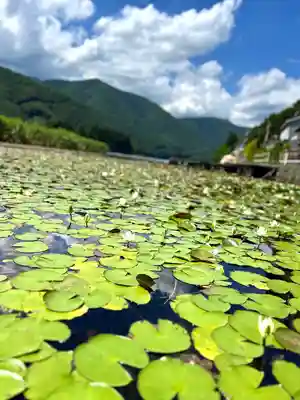 仁科神社(長野県)