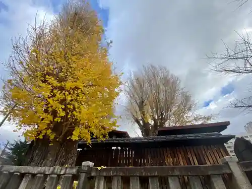 宇賀神社(京都府)