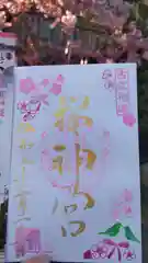 桜神宮の御朱印