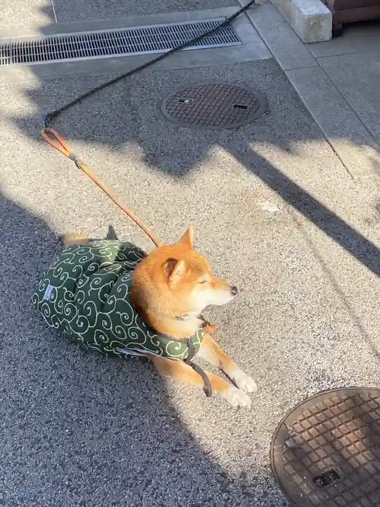 感通寺(東京都)