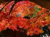 滑川神社 - 仕事と子どもの守り神の自然