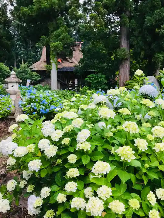 幸徳院笹野寺の自然