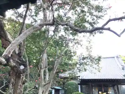 法泉寺のその他建物