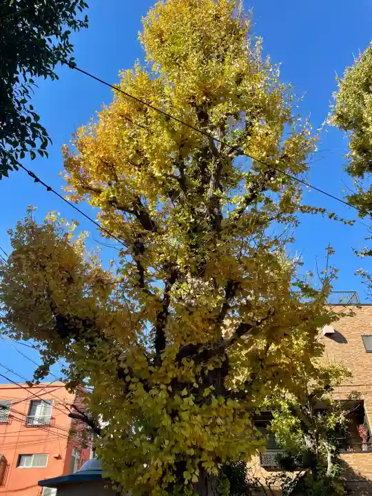 東貫森稲荷神社(東京都)
