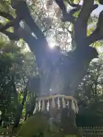 熱田神宮の{uncategorized: "未分類", other: "その他", undefined: "問題あり", building: "その他建物", grave: "お墓", sacred_gate: "鳥居", guardian: "狛犬", statue: "像", buddha: "仏像", history: "歴史", nature: "自然", garden: "庭園", animal: "動物", pagoda: "塔", temizu: "手水舎", mountain_gate: "山門・神門", sanctuary: "本殿・本堂", subordinate: "末社・摂社", art: "芸術", scenery: "景色", jizo: "地蔵", ema: "絵馬", goshuin: "御朱印", omikuji: "おみくじ", items: "授与品その他", amulet: "お守り", goshuincho: "御朱印帳", eats: "食事", festival: "お祭り", votive_dance: "神楽", shichigosan: "七五三参", wedding: "結婚式", experience: "体験その他", initially: "初詣", around: "周辺", anti_infection: "感染症対策"}