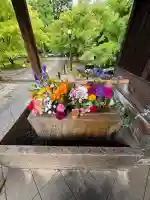 勝林寺(京都府)