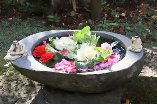 かっぱの寺 栖足寺の手水