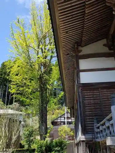 尊光寺の建物その他