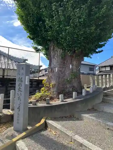 大明神社(愛知県)