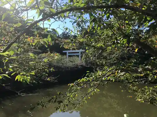 安房神社の鳥居