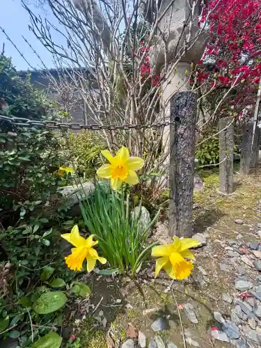 地蔵院の{uncategorized: "未分類", other: "その他", undefined: "問題あり", building: "その他建物", grave: "お墓", sacred_gate: "鳥居", guardian: "狛犬", statue: "像", buddha: "仏像", history: "歴史", nature: "自然", garden: "庭園", animal: "動物", pagoda: "塔", temizu: "手水舎", mountain_gate: "山門・神門", sanctuary: "本殿・本堂", subordinate: "末社・摂社", art: "芸術", scenery: "景色", jizo: "地蔵", ema: "絵馬", goshuin: "御朱印", omikuji: "おみくじ", items: "授与品その他", amulet: "お守り", goshuincho: "御朱印帳", eats: "食事", festival: "お祭り", votive_dance: "神楽", shichigosan: "七五三参", wedding: "結婚式", experience: "体験その他", initially: "初詣", around: "周辺", anti_infection: "感染症対策"}