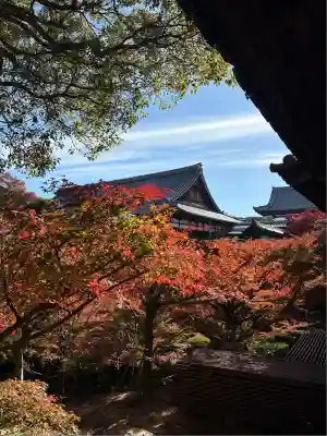 東福禅寺(東福寺)(京都府)