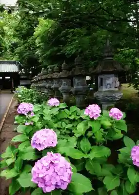 妙法寺(東京都)