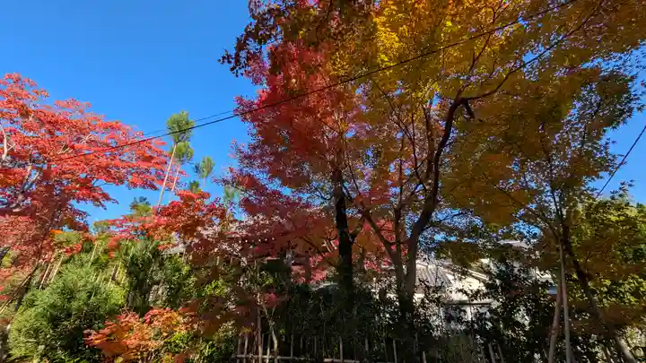 源光庵(京都府)