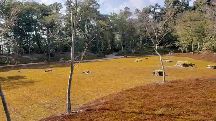 鹿苑寺(金閣寺)の庭園
