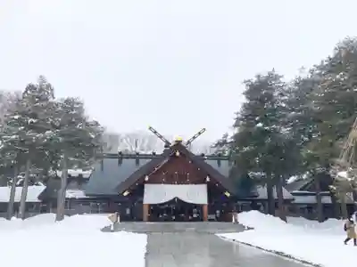 北海道神宮の本殿・本堂