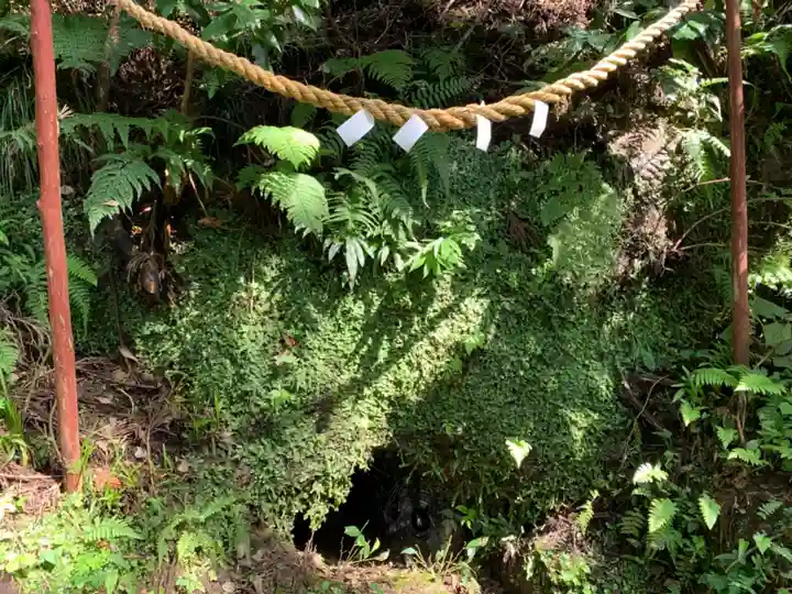 常磐神社の自然