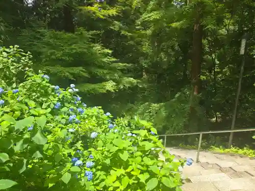 金剛輪寺(滋賀県)