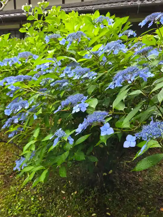 當麻寺(奈良県)