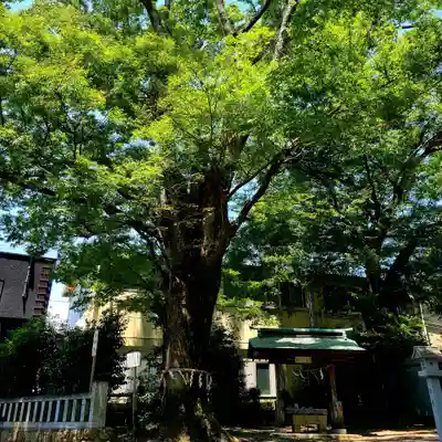 濱名惣社神明宮(静岡県)