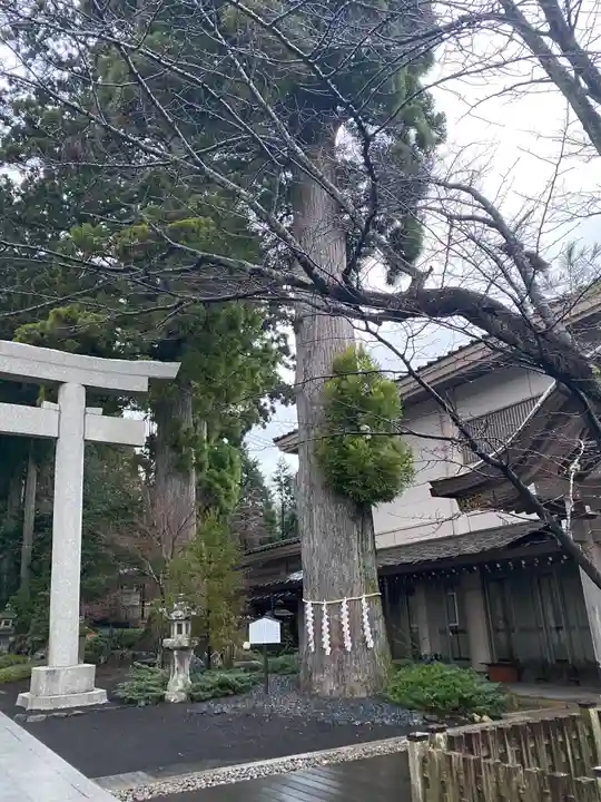 富士山東口本宮 冨士浅間神社の自然