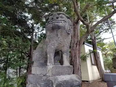 北見神社の狛犬