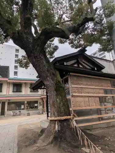 堀川戎神社の{uncategorized: "未分類", other: "その他", undefined: "問題あり", building: "その他建物", grave: "お墓", sacred_gate: "鳥居", guardian: "狛犬", statue: "像", buddha: "仏像", history: "歴史", nature: "自然", garden: "庭園", animal: "動物", pagoda: "塔", temizu: "手水舎", mountain_gate: "山門・神門", sanctuary: "本殿・本堂", subordinate: "末社・摂社", art: "芸術", scenery: "景色", jizo: "地蔵", ema: "絵馬", goshuin: "御朱印", omikuji: "おみくじ", items: "授与品その他", amulet: "お守り", goshuincho: "御朱印帳", eats: "食事", festival: "お祭り", votive_dance: "神楽", shichigosan: "七五三参", wedding: "結婚式", experience: "体験その他", initially: "初詣", around: "周辺", anti_infection: "感染症対策"}
