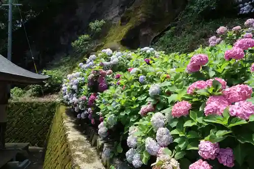 赤後寺(滋賀県)