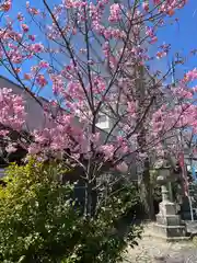 阿邪訶根神社(福島県)