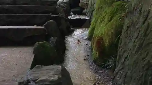 宇都宮二荒山神社の建物その他