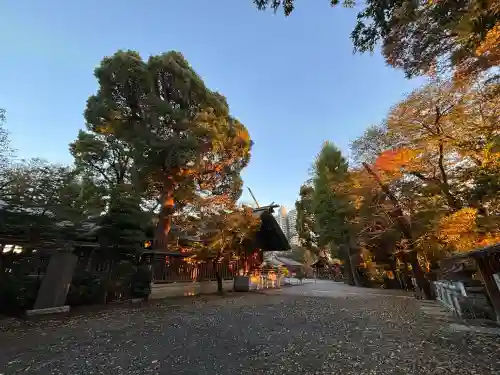 所澤神明社(埼玉県)