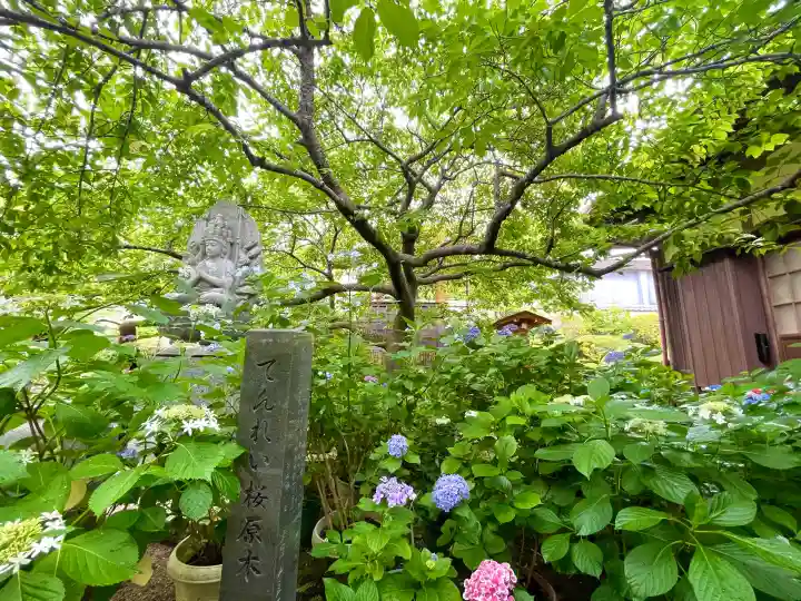 大慈寺(三重県)